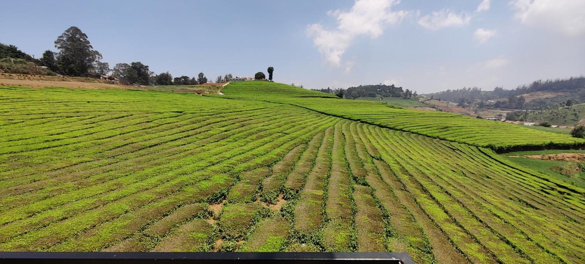 Bed and Breakfast Rose Garden Enclave For Families & Executives Ooty Esterno foto