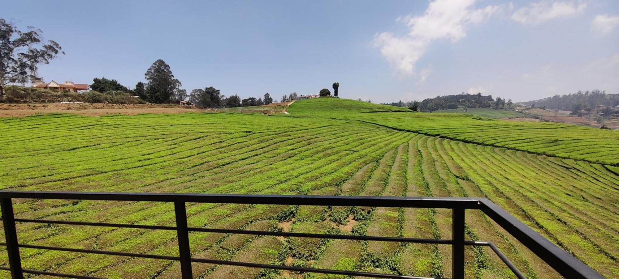 Bed and Breakfast Rose Garden Enclave For Families & Executives Ooty Esterno foto